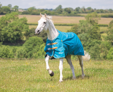 Shires Highlander Original Lite Turnout Rug (RRP Â£71.99)